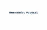 Hormônios Vegetais - Produção Vegetal 2012-1 · PDF fileRetardar a queda de frutos e folhas; Indução de frutos partenocárpicos; Biotecnologia (micropropagação de plantas).