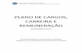 Plano de Cargos e Carreira e Remuneração (PCCR) · PDF fileCargos de seus subordinados, bem como, pela elaboração e encaminhamento das propostas de alteração que se fizerem necessárias