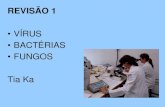 VÍRUS BACTÉRIAS FUNGOS Tia Ka - …jardimsaopaulo.com.br/pdf/3series_revisao1_bot.pdf · É quando a partícula viral, encontra-se fora da célula hospedeira. Cada espécie de vírus