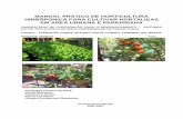 MANUAL PRATICO DE HORTICULTURA · PDF filemanual pratico de horticultura hidrÔponica para cultivar hortaliÇas em area urbana e periurbana laboratorio de cooperaÇÃo para o desenvolvimento