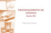 PROCESSAMENTO DE LIPÍDEOS Aula 03 · PDF fileCocinero; Na.orinha; La Violetera; Vila Flor; Qualitá).