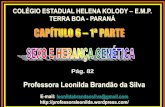 Professora Leonilda Brandão da Silva · PDF file•Na maioria das espécies, o principal fator determi-nante do sexo são os genes. •Em geral, esses genes estão situados em cromos-somos
