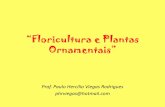 “Floricultura e Plantas Ornamentais” - esalq.usp. · PDF file“Floricultura e Plantas Ornamentais” Prof. Paulo Hercílio Viegas Rodrigues phrviegas@hotmail.com