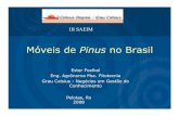 Móveis de Pinus no Brasil - celso- · PDF fileMóveis de Pinus no Brasil III SAEIM Ester Foelkel Eng. Agrônoma Msc. Fitotecnia Grau Celsius -Negócios em Gestão do Conhecimento