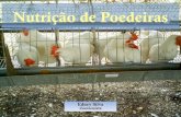 Nutrição de Poedeiras - fcav.unesp.br · PDF fileNível de energia da ração Idade “peso” e taxa de produção Temperatura Ambiente ... –Deve-se buscar criar aves de peso