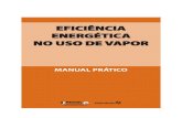 EFICIÊNCIA ENERGÉTICA NO USO DE VAPOR · PDF file1.3.1 - Cálculo da eficiência de caldeiras pelo Método Direto ... pode facilitar a caracterização de um sistema de vapor em
