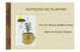 NUTRIÇÃO DE · PDF file1.1 Conceitos em nutrição de plantas. Relação com disciplinas afins. ... Disciplina: Nutrição de Plantas - Programas: Ciência do Solo e Produção Vegetal