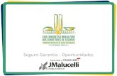 Seguro Garantia - Oportunidades · PDF fileAmérica Latina –Seguro Garantia: Participação de mercado Prêmios por país 2010 (2009) Brasil ... Gestor de Crédito Automático