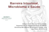 Barreira Intestinal, Microbioma e Saúde - ilsibrasil.orgilsibrasil.org/wp-content/uploads/sites/9/2016/11/7-ANDERSON... · Agenda Barreira intestinal Instalação da microbiota intestinal