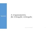 Trigonometria - petengenhariasifba.com.brpetengenhariasifba.com.br/wp-content/uploads/2013/08/03.pdf · hipotenusa A segunda é chamada co-seno do ângulo x e escreve-se: cateto adjacente