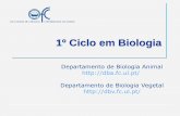 1º Ciclo em Biologia - · PDF fileOpções de Geologia Estratigrafia e Geoistória Petrologia Sedimentar Paleontologia Petrologia Ígnea DISCIPLINAS 6 6 6 6 – Prova de Português