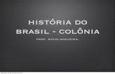 hist ria do brasil - col nia · PDF filedivisões da história do brasil: • Brasil colônia (1500-1822) • Brasil Império (1822-1889 - Primeiro Reinado, Regência e Segundo Reinado)