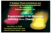 Laboratórios de Nutrição Animal (EPLNA) ” 29 e 30/03/2012 ... · PDF fileExcitação por absorção de um fóton hν, energia térmica ou partículas com energia cinética + energia