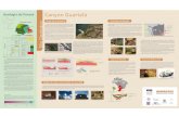 Geologia do Paraná á - Diretoria de Geologia (Mineropar) · PDF filea deposição dos sedimentos que vão formar a Bacia do Paraná. ... fim, os inúmeros aluviões recentes dos