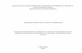 ASSOCIAÇÃO CARUARUENSE DE ENSINO SUPERIOR …repositorio.asces.edu.br/bitstream/123456789/48/1/Monografia... · cumprimento dos direitos fundamentais constitucionais ligados ao