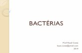 BACTÉRIAS - · PDF filehumanas durante uma infecção bacteriana. O pili sexual ... O DNA bacteriano se duplica e, a partir do mesossomo, ... Bactérias que associam-se a leguminosas,