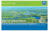 BOLSA AMAZÔNIA - · PDF fileestende desde o Planalto das Guianas no Norte até o ... ou 44% da área do continente sul-americano, que ... sucedida é a do projeto Amazon Paper. O