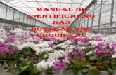 MANUAL DE IDENTIFICAÇÃO DAS DOENÇAS DAS … das... · contexto, este manual tem por intuito auxiliar a diagnose das principais doenças e afetam as orquídeas e divulgar medidas