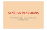 TRANSMISSÃO DE CARACTERÍSTICAS HEREDITÁRIAS · PDF file• O monge Gregor Mendel (1822 – 1884) realizou experiências com ervilhas cultivadas no jardim, do mosteiro de Brunn,