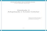 Prof. Renato Rossi Jr · PDF filecapÍtulo 1 – livro patologia bÁsica robbins para leitura e discussÃo lista de exercÍcios