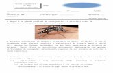 Web viewFísica e Química A – 11º AnoAno Letivo 2012-20131ª Ficha de avaliação ... período das Grandes Navegações, um dos mais importantes da História de Portugal