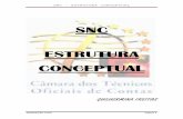 SNC ESTRUTURA CONCEPTUAL - occ.pt - EstruturaConceptualDIS1409.pdf · no registo das operações para uma contabilidade objectivando o Relato ... 3 – Elementos das Demonstrações