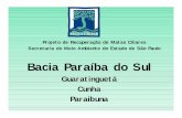 Bacia Paraíba do Sul - SIGAM/SMA/CETESBsigam.ambiente.sp.gov.br/sigam3/Repositorio/222/Documentos/2010... · Microsoft PowerPoint - IV_C.ppt [Modo de Compatibilidade] Author: Administrador