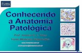 Patologia -  · PDF fileConhecendo a Anatomia Patológica - Prof. Andréa Rodrigues Cordovil Pires - Fonte Medicina Diagnóstica Patologia - Histórico Giovanni Battista Morgagni