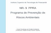 NR- 9 PPRA Programa de Prevenção de Riscos Ambientais · PDF filePLANEJAMENTO ANUAL COM ... estabelecimento de prioridades e metas de avaliação e controle; c) avaliação dos riscos