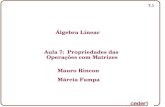 Álgebra Linear Aula 7: Propriedades das Operações com ...rincon/Disciplinas/Algebra Linear/Aula_007.pdf · 5.5 - Propriedades da Multiplicação por Escalar 7.21 2) 1) 4) 3) 5.5