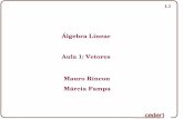 Álgebra Linear Aula 1: Vetores Mauro Rincon Márcia Famparincon/Disciplinas/Algebra Linear/Aula_001.pdf · Propriedades da Adição 2) Comutativa: 4) 3) 1.2 - Operações com vetores