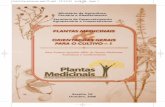 Ministério da Agricultura, Pecuária e Abastecimento ...bvsms.saude.gov.br/bvs/publicacoes/cartilha_plantas_medicinais.pdf · Plantas Medicinais utilizadas pela população brasileira,