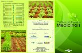 Texto: Elizabeth Denise Campos Medicinais - Portal · PDF fileA qualidade das plantas medicinais produzidas e comercializadas no Brasil é ainda baixa. Dentre os principais problemas