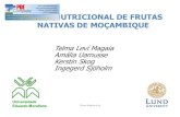 Valor nutricional de frutas nativas TM [Read-Only] · PDF file2 § Árvores e arbustos de fruteiras nativas encontram-se amplamente distribuídos por todo o País. § As frutas crescem