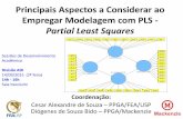Principais Aspectos a Considerar ao Empregar Modelagem · PDF filePrincipais Aspectos a Considerar ao Empregar Modelagem com PLS - Partial Least Squares Coordenação: Cesar Alexandre