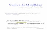 Cultivo de Mexilhões - Biologia e Geologia na Escola · PDF file1 Laboratório de Mexilhões - UFSC, CP 476 Florianópolis, Santa Catarina - 880900-400 - Brasil (Fax: 048-2319653