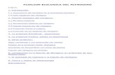 FIJACION BIOLOGICA DEL · PDF fileFIJACION BIOLOGICA DEL NITROGENO Indice: 1. Introducción: 1.1 Importancia del nitrógeno en el ecosistema terrestre 1.2 Ciclo biogénico del nitrógeno