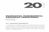 CAPÍTULO - pdf.blucher.com.br.s3-sa-east …pdf.blucher.com.br.s3-sa-east-1.amazonaws.com/openaccess/... · 524 S Mais de 95% da massa pancreática corresponde a células exócrinas,