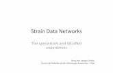 Strain Data Networks - cria.org.br · PDF filetaxonomy modeling Data quality ... • Does not depend only on the will to share data ... speciesLink (DarwinCore2) SIColNet (DarwinCore2