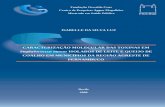 CARACTERIZAÇÃO MOLECULAR DAS TOXINAS EM · PDF fileAo Banco do Nordeste do Brasil e PAPES IV/ FIOCRUZ ... transcripts obtained in 12/20 ... Padronização da RT-PCR com concentrações