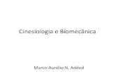 Cinesiologia e Biomecânicamarcoadded.com.br/.../uploads/2015/09/Aula1-cinesiologia.pdfConceitos Cinesiologia: Estudo do movimento. Combinação da teoria e princípios da anatomia,