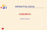 Practical Approach to Anaemia - Centro de Ensino e · PDF file · 2014-08-04Medula Óssea •Esterno, bacia, ossos longos, vértebras •Células pluripotentes •Relação E/L é