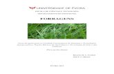 Sebenta forragens convertido - Caprinet e forragens/Forragens.pdf · de rápido crescimento outono/Invernal como o trevo da pérsia ou o trevo vesiculoso (Trifolium vesiculosum L.)