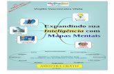 Evolução Pessoal Expandindo sua - · PDF fileExpandindo sua Inteligência com Mapas Mentais Virgílio Vasconcelos Vilela ESTRUTURA Modelos e Métodos 1 – Evolução Pessoal Aprendizagem