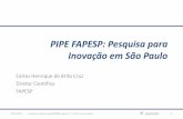 PIPE FAPESP: Pesquisa para Inovação em São · PDF filePesquisa Inovativa na Pequena Empresa –PIPE FAPESP •Pesquisa na pequena empresa –potencial de retorno comercial –aumento