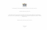 Dissertação de Mestrado - Aline Paes - 25 fev 2014 Paes de Araujo... · pontifÍcia universidade catÓlica de sÃo paulo aline paes de araujo “polÍtica de atenÇÃo À saÚde