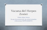 Vacuna del Herpes Zoster - projectes.camfic.catprojectes.camfic.cat/.../Docs/Vacunes/HerpesZosterCAMFiC2014.pdf · Vacuna del Herpes Zoster Pablo Aldaz Herce Grupo de prevención