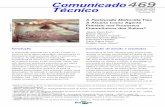 Comunicado 469 Técnico - cnpsa. · PDF filede broncopneumonia fibrino-necrótica purulenta com pleurite fibrinosa. Comparativamente, em relação ao suíno 1, as lesões de exudação