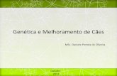 Genética e Melhoramento de Cães - javali.fcav.unesp.brjavali.fcav.unesp.br/sgcd/Home/departamentos/... · CBKC – Confederação Brasileira de Cinofilia ... que confere características