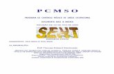 MODELO DE PCMSO - 2004 - bertozi.com pcmso programa de controle mÉdico da saÚde ocupacional xxxxx empresa xxxxx 1 Índice 1 identificaÇÃo da empresa .....